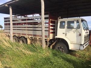 International Acco 1900 Cattle truck