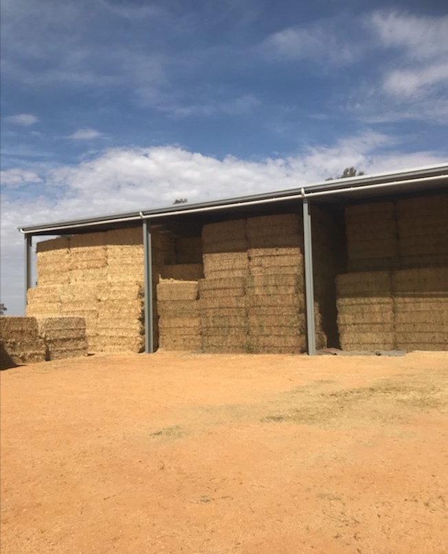 120mt Vetch Hay 650kg 8x4x3 Bales