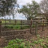 Cattle Yards