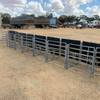 Back Up Charlie - Sheep Handling System - Anti backing
