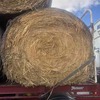 30 x 2016 5x4 Rolls of Oaten Hay 470kg/bale