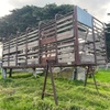 17ft Stock Crate