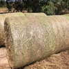 Oaten/Pasture Hay 5x4 Round Bales