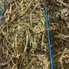 200mt Vetch Hay 600-700kg 8x4x3 Bales (New Season 20/21)