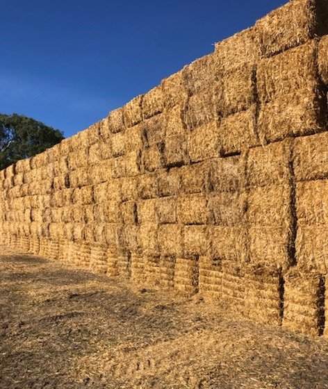 200mt Wheaten Straw 8x4x3