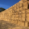 200mt Wheaten Straw 8x4x3