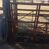 Cattle Crush / Head Bale