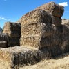 Oaten Hay 8x4x3