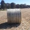 40 m/t New Season Oaten Hay 5x4 Rolls