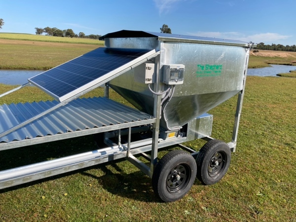 New- Sheep Feeder Auto Mobile