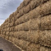 Irrigated Wheaten Straw 8x4x3 Bales
