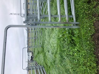 Arrow Portable Cattle Yards