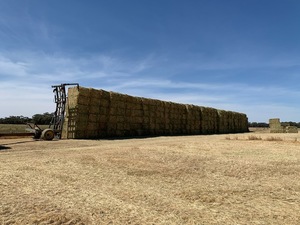 High quality organic USDA NOP hay