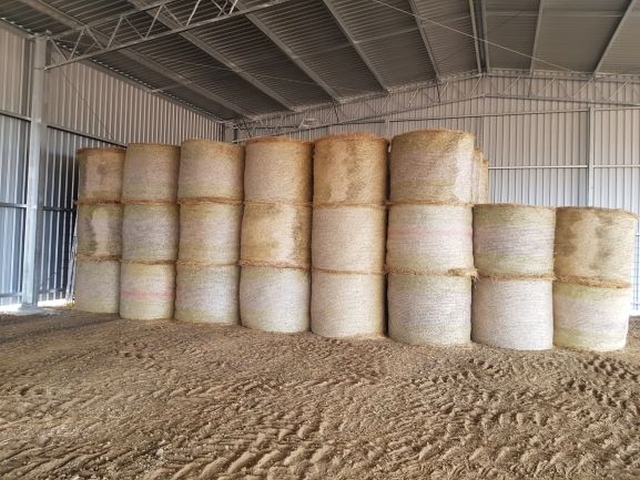 Oaten Chaff (5 x 4 Rounds) 