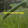 Certified Phalaris Tuberosa (Australian) Seed in 25kg Bags 