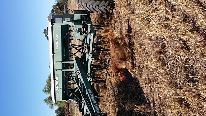 JOHN SHEARER 490 20 ROW SEED DRILL