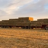 Quality Oaten Hay