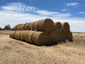 700 Oaten Hay 5x4 Round Bales