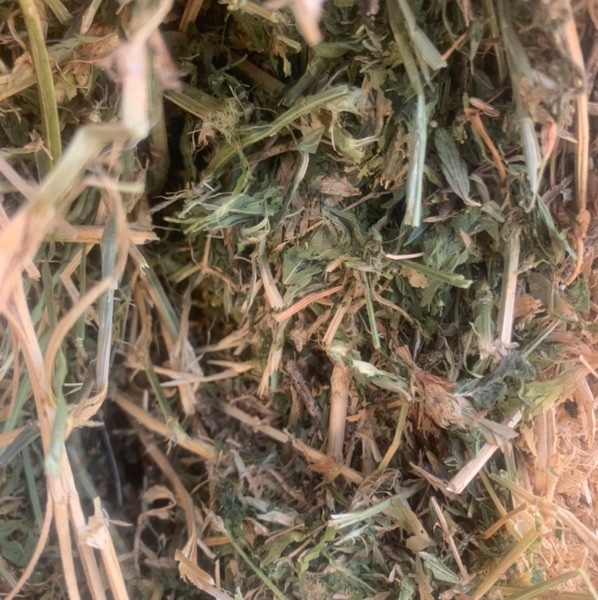 Lucerne/Barley Hay