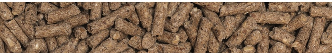 Proteena® Advanced Protein Pellets