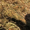 120mt Clover Hay 600kg 8x4x3 Bales