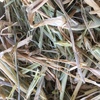 60mt Barley Hay 8x4x3 Bales + Freight