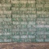 Lucerne for sale NO GST