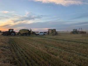 Hay Contracting