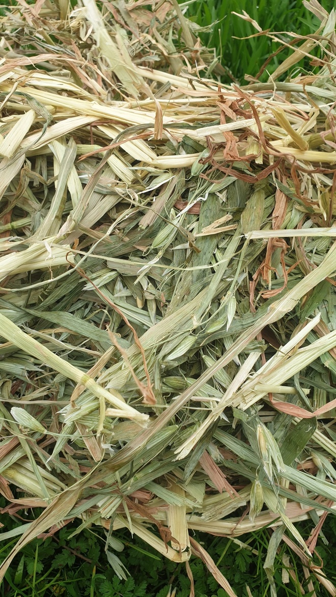 24 x Oaten Hay 8x4x3 Bales