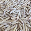 Oat Seed early Order Program for 2019