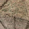 New Season Vetch Hay 8x4x3 Bales Feed Tested