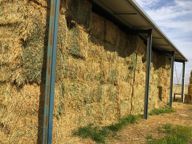 600 Wheaten Hay 550kg 8x4x3 Bales (Ex Skipton)