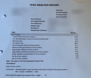 200mt Vetch/Clover Hay 650kg 8x4x3 Bales Shedded