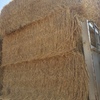 Approx. 200mt Windrowed Wheaten Straw 8x4x3 Bales