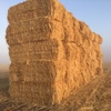 Oaten Hay 8x4x3