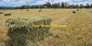 Oaten  Hay Compressed Small Squares     25 kg Bales