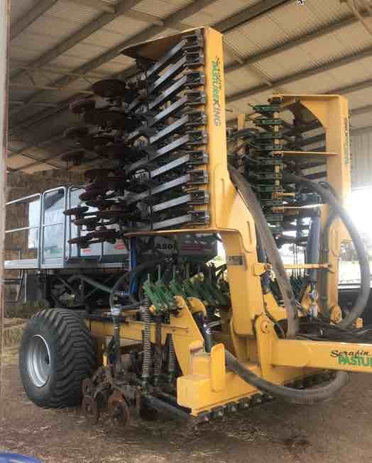 2017 6m Serafin Pasture King 