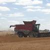 2014 Massey Ferguson 9560 Header
