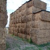 50mt Vetch Hay 8x4x3 Bales