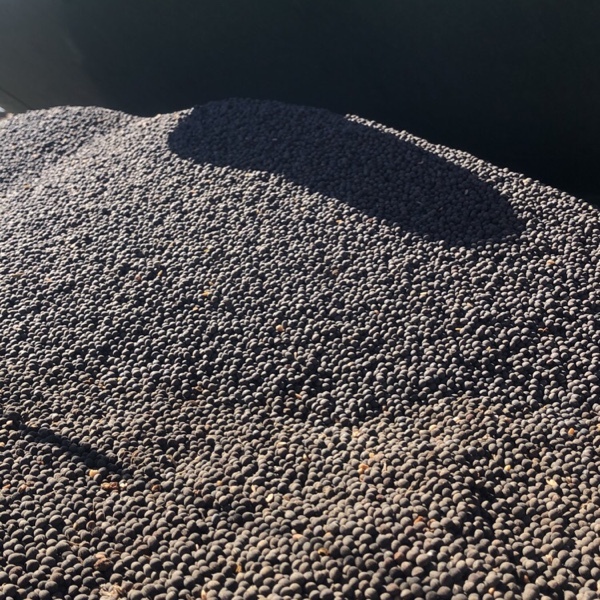 45mt Vetch Seed (Modern variety & Weed free)