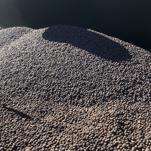 45mt Vetch Seed (Modern variety & Weed free)