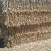 80mt Windrowed Wheaten Straw 8x4x3