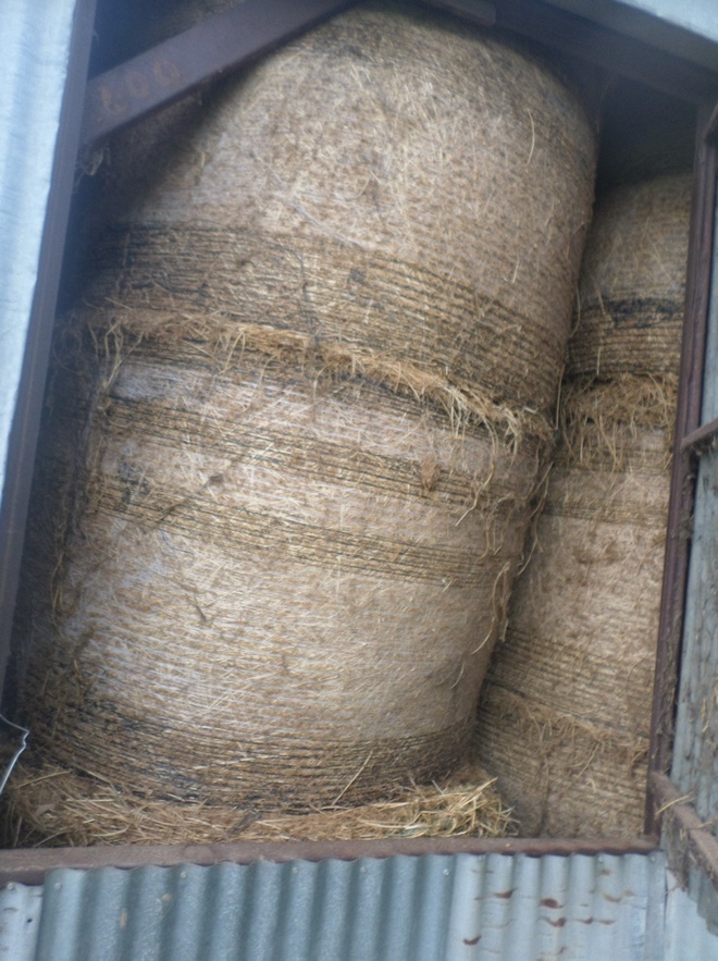 65mt Lucerne Hay 5x4 Rolls