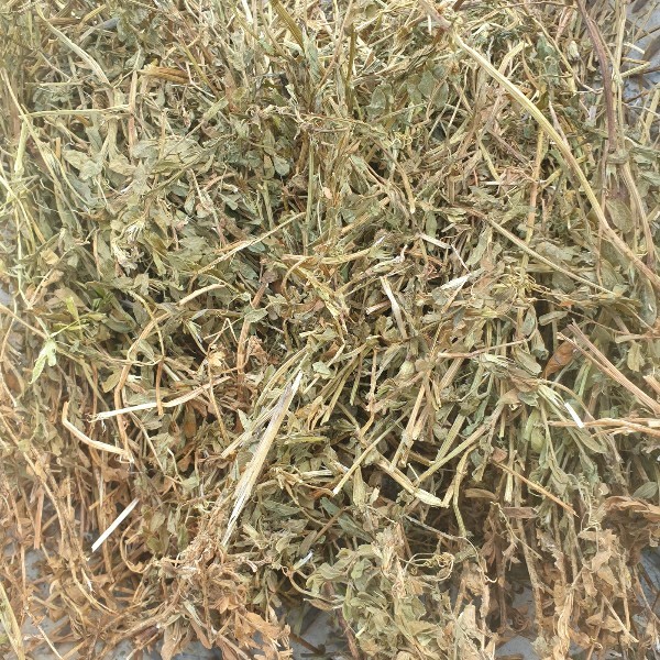 Vetch Hay