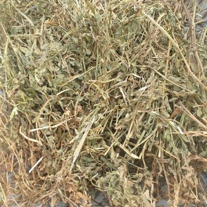 Vetch Hay
