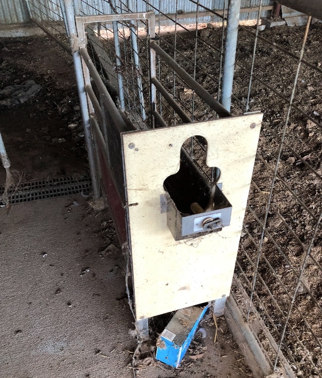 2 x LELY Calm Calf Feeders