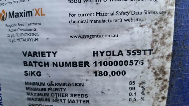Hyola 559TT canola seed