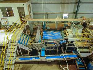 Tomra Sentinel II optical sorting machine
