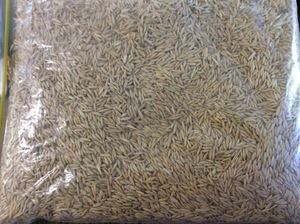 Brusher Oats