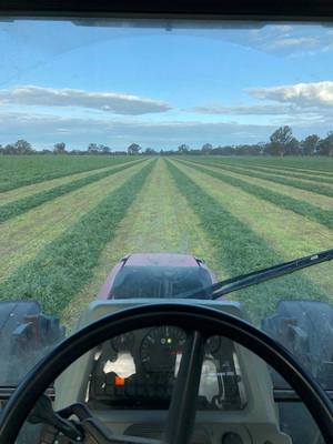New Season 8x4x3 Vetch Hay